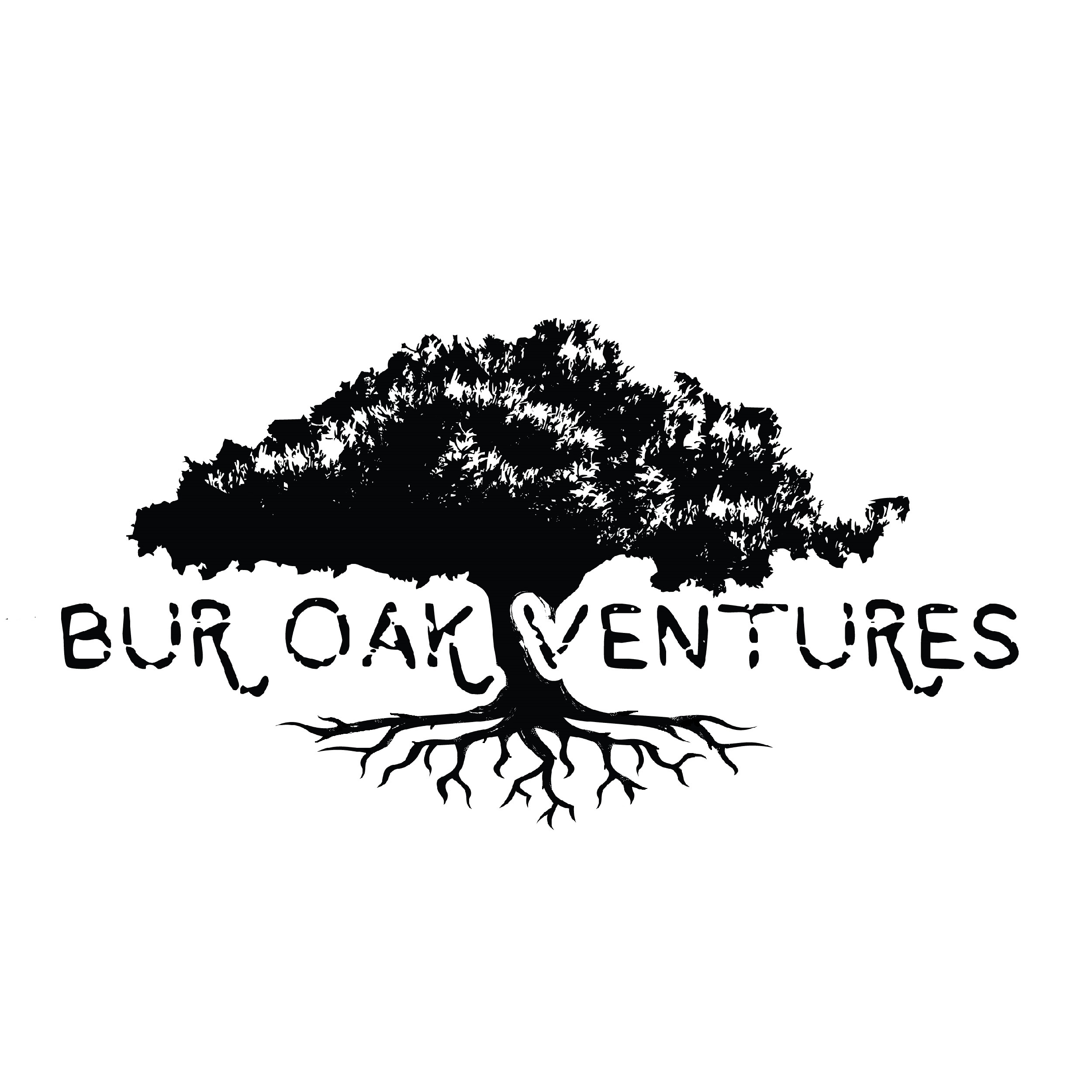 Bur Oak Ventures